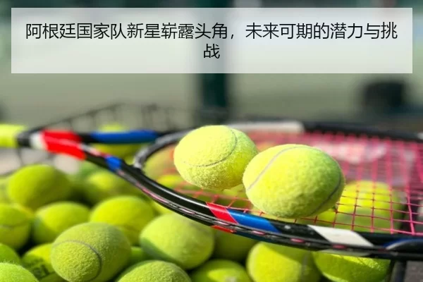 阿根廷国家队新星崭露头角，未来可期的潜力与挑战